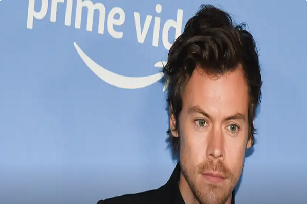 Harry Styles sues sellers on Etsy