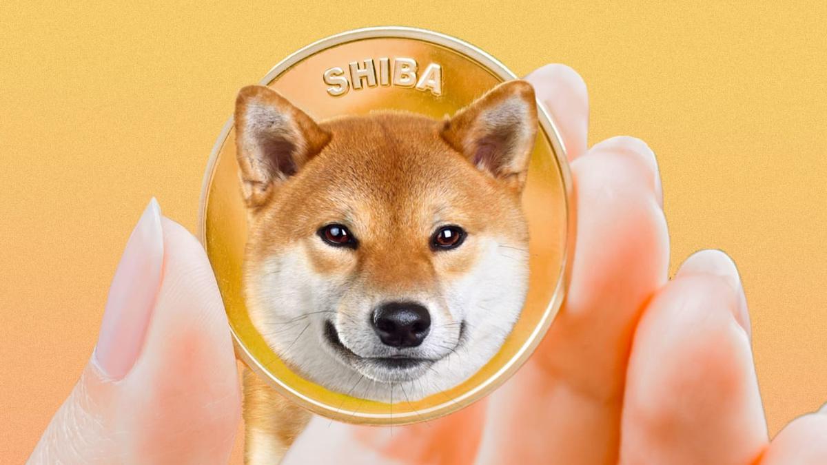 Shiba Inu Crypto Price Today Stronger or Weaker