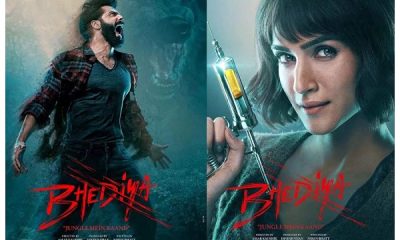 Varun Dhawan and Kriti Sanon's film 'Bhediya' to release on