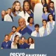 Grays Anatomy (TV series) Download Mp ▷ Todaysgist