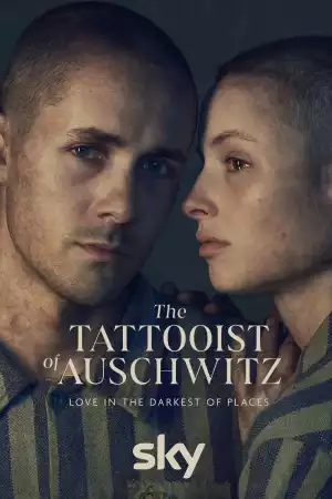 The Tattooist of Auschwitz (TV series ) Download Mp ▷