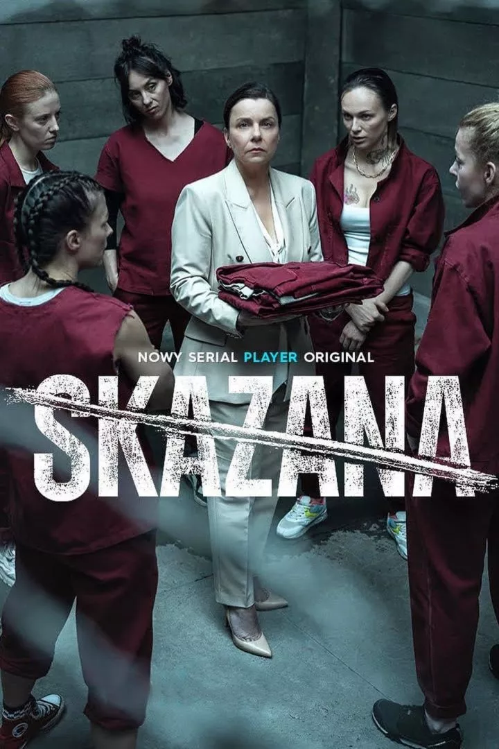 The Convict (Polish) (TV series) Download Mp ▷ Todaysgist