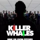Killer Whales (TV series ) Download Mp ▷ Todaysgist